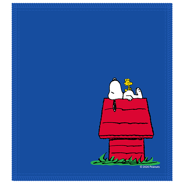 KR Strikeforce Peanuts Friends Shammy Pad