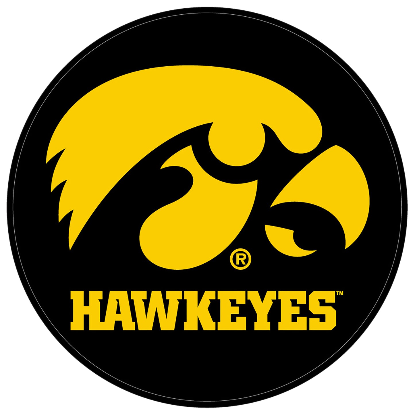 KR Strikeforce Iowa NCAA Round Shammy Leather Pad